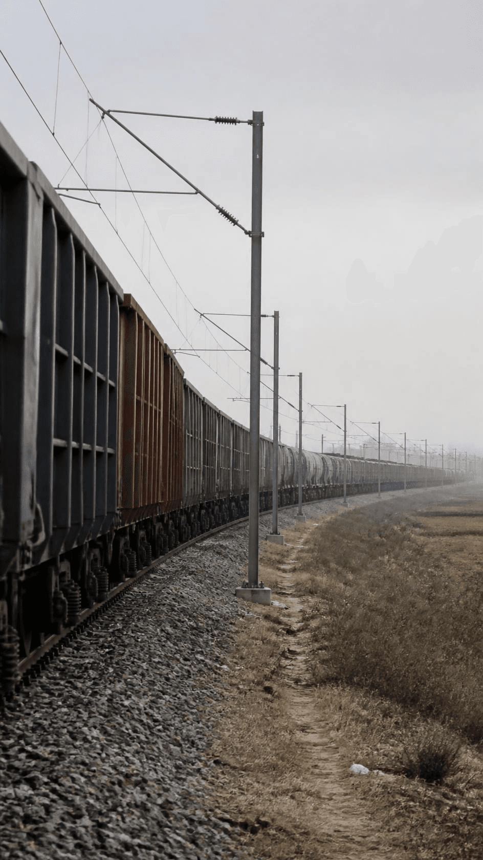 A long freight rake on an electrified corridor, its tail lost in haze.